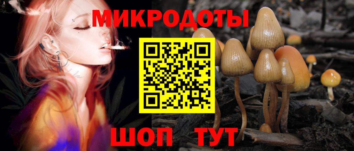 Псилоцибиновые грибы GOLDEN TEACHER Волгодонск
